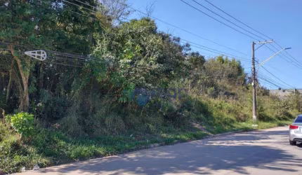 Terreno à venda, 4000 m² por R$ 1.400.000 - Moinho Velho - Cotia/SP