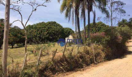 Terreno, 5000 m² - venda por R$ 350.000,00 ou aluguel por R$ 9.000,00/mês - Morro Grande da Boa Vista - Bragança Paulista/SP