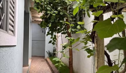 Sala Comercial para Locação em São Paulo, Parque Boturussu