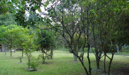 Casa com 4 quartos à venda na Estrada Manoel Leôncio de Souza Brito, 140, Vargem Pequena, Florianópolis por R$ 1.690.000