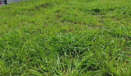 Terreno à Venda no Condomínio Jardim Toscana – Indaiatuba – Sp.