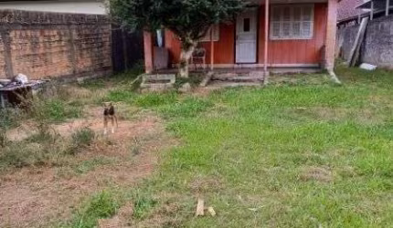 Terreno à venda Vila Nova Porto Alegre/RS