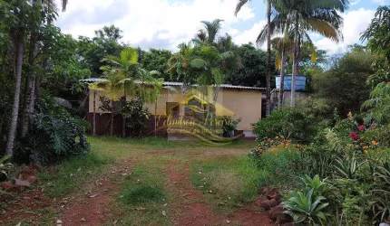 Chácara à venda 30.000 metros quadrados com casa e pomar na cidade de Ibiporã - PR