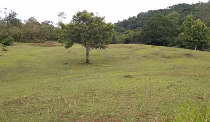 Terreno comercial à venda no Testo Salto, Blumenau  por R$ 1.700.000