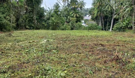 Terreno comercial para alugar no Salto do Norte, Blumenau , 10297 m2 por R$ 10.000
