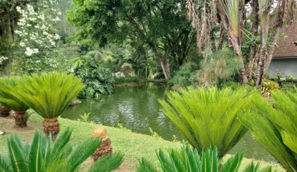 Chácara / sítio com 5 quartos à venda no Encano, Indaial , 188 m2 por R$ 1.500.000