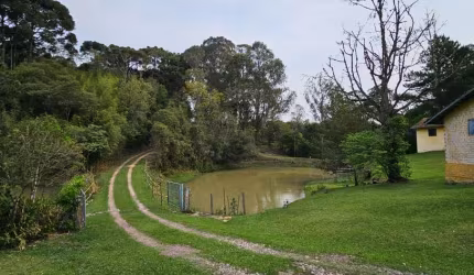 Chácara / sítio com 6 quartos à venda na Rua Arthur Carvalho da Rocha, Campo Largo da Roseira, São José dos Pinhais por R$ 2.300.000