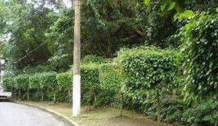Terreno à venda, 6500 m² por R$ 3.400.000,00 - Pitangueiras - Guarujá/SP