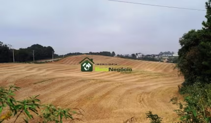 TERRENO RURAL - PALMITAL - ARAUCÁRIA