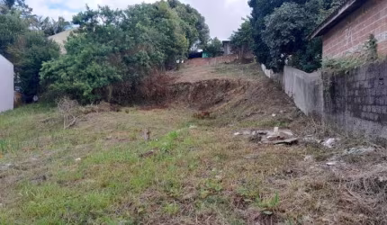 TERRENO - PORTO DAS LARANJEIRAS - ARAUCARIA
