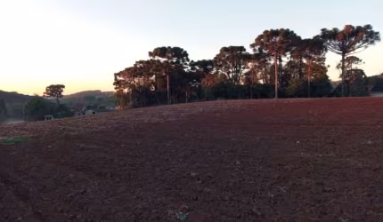 TERRENO - GRANDES AREAS - RIO ABAIXINHO - ARAUCARIA