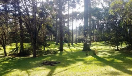 TERRENO no CASCATAS com 0 quartos para VENDA, 19127 m²