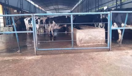 Fazenda á venda - 109 Hectares - localização entre Varginha e Pouso Alegre