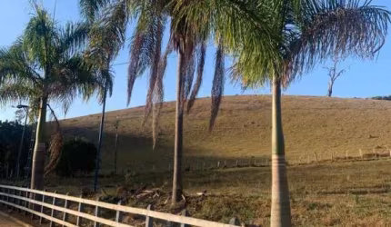 Fazenda á venda em Piranguinho - MG com 32 hectares