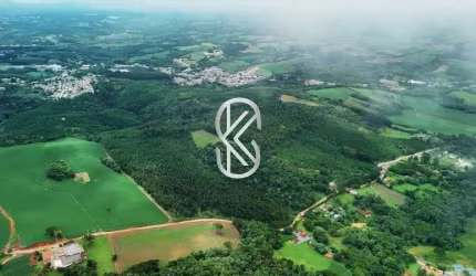 Terreno à venda no Centro, Campo Magro , 920342 m2