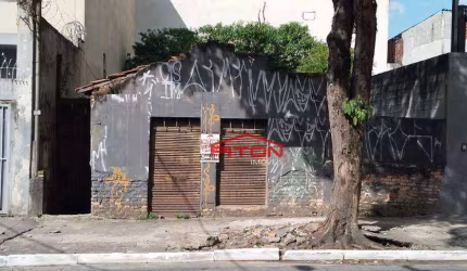 Terreno - Vila Matilde - São Paulo/SP