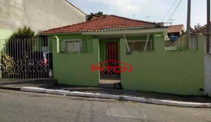 Terreno - Vila Granada - São Paulo/SP