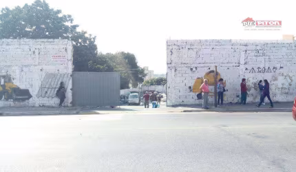 Terreno - Vila Ré - São Paulo/SP
