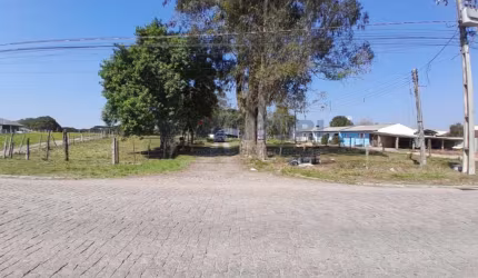 Terreno à venda na Rua Joaquim Alves Fontes, 1864, Colônia Murici, São José dos Pinhais, 17393 m2 por R$ 2.600.000