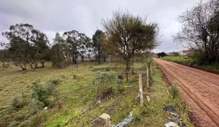 Terreno à venda na Rua João Alves Figueiredo, 000, Quississana, São José dos Pinhais por R$ 10.185.000