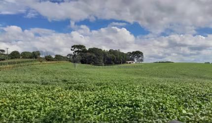 Terreno à venda na Rua Miguel Zeteski, 3050, São Marcos, São José dos Pinhais por R$ 6.102.675