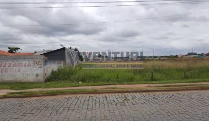 Terreno à venda na Rua Laerte Fenelon, 886, Ipê, São José dos Pinhais, 4461 m2 por R$ 4.461.000