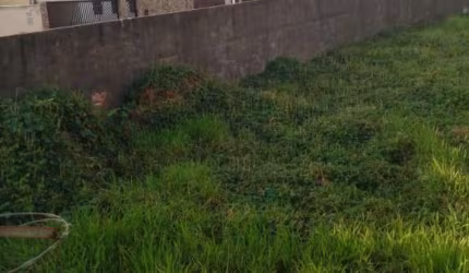 TERRENO A VENDA NO JARDIM CARLOS LOURENÇO CAMPINAS/SP