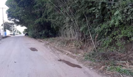 SITIO PARA VENDA EM PAULINIA - SP