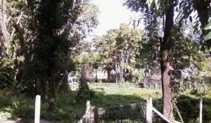 Area residencial para venda, no Jardim das Paineiras em Campinas/SP