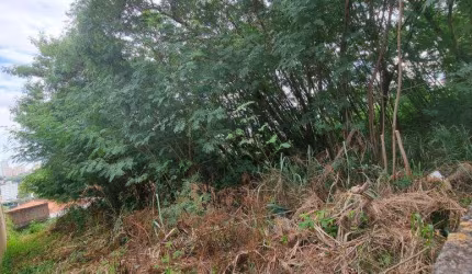 TERRENO/ÁREA À VENDA NO GUARANI EM CAPINAS-SP.