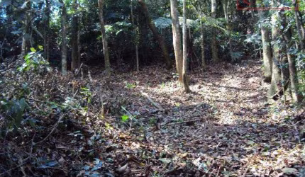 Terreno para Venda em Mairiporã, Serra Da Cantareira