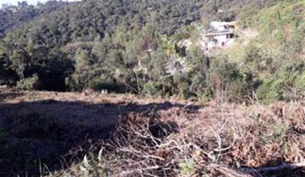 Terreno A Venda Condomínio Residencial Cantareira Ecológico