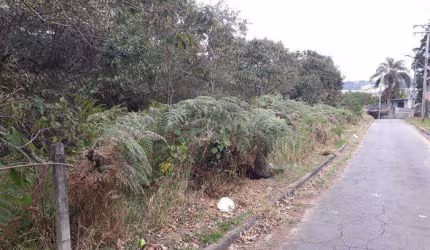 Terreno para Venda em Caieiras, Não Especificado