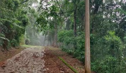 Terreno em Condomínio para Venda em Mairiporã, Parque Germania