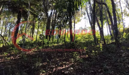 Terreno em Condomínio para Venda em Mairiporã, Jardim Lago Da Cantareira