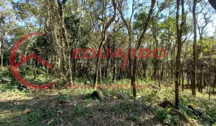 Terreno para Venda em Mairiporã, Mato Dentro