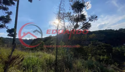 Terreno para Venda em Mairiporã, Jardim Samambaia