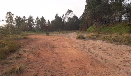 Terreno Industrial para Venda em Mairiporã, Terra Preta