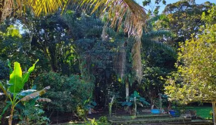 Chácara / sítio com 6 quartos à venda no Jardim Caraguava, Peruíbe  por R$ 1.200.000