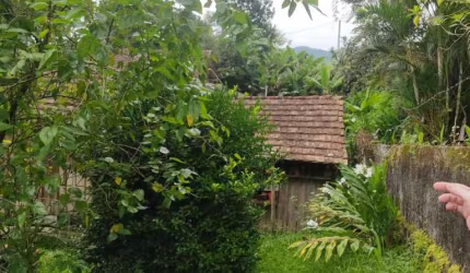 Ótimo terreno de frente à Rua Bahia com 530m² contendo casa