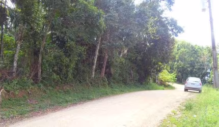 Terreno no Bairro Salto Norte em Blumenau com 620m²