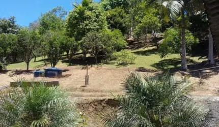 **OFERTA** Sítio 10.000m2 com 2 Casas Testo Salto