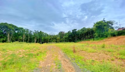 Magnífico Terreno 7.800m2 - Próximo a Rua General Osório