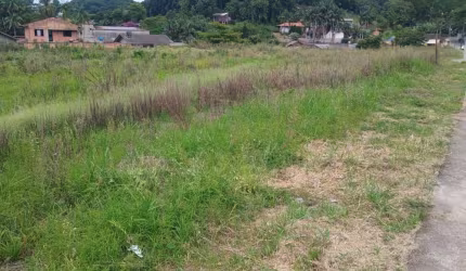 TERRENO COM 3.800M2 - RUA JOSÉ REUTER