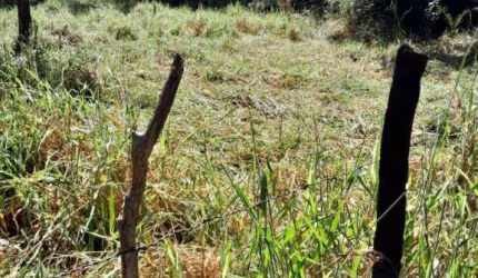 Terreno à venda, 6500 m² por R$ 220.000,00 - Floresta Encantada - Esmeraldas/MG