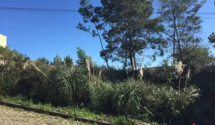 Terreno à venda na Rua João Antônio de Mattos, 320, Salgado Filho, Caxias do Sul por R$ 180.000