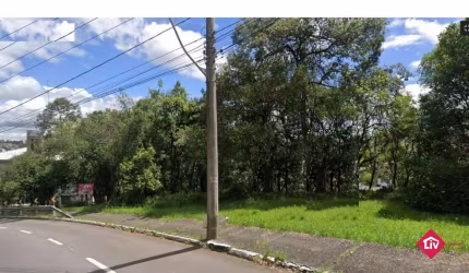 Terreno para Venda - 820.14m², 0 dormitórios, Colina Sorriso