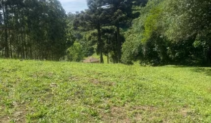 Chácara / sítio à venda na Carlos Debastiani, 00, Desvio Rizzo, Caxias do Sul por R$ 1.600.000