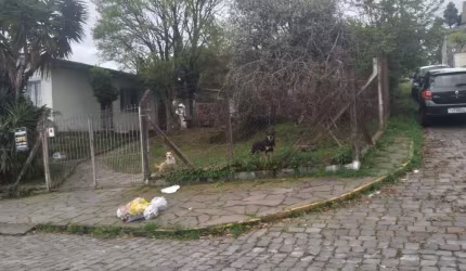 Terreno para Venda - 452m², 0 dormitórios, São Leopoldo