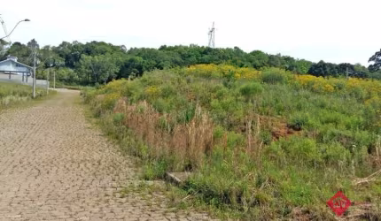 Terreno para Venda - 486.64m², 0 dormitórios, Monte Bérico